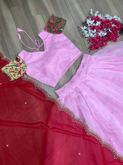 Organza Lehenga Choli for festival